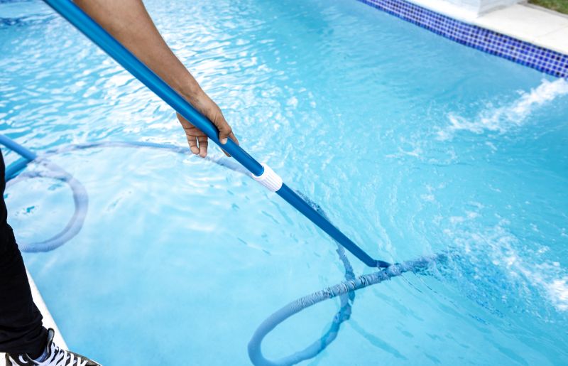Pool Algae Removal